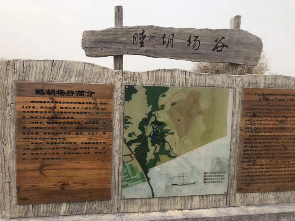 深圳刑事律師排名網告訴你證人專家和受害者的保護有哪些？